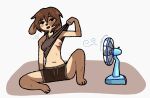 anthro areola blush blush_lines bodily_fluids bottomwear breasts breath brown_body brown_fur brown_hair canid canine clothed clothing cooling_off electric_fan emi_(emipaws) emipaws female flashing flashing_breasts front_view fur hair hi_res looking_at_viewer mammal nipples pink_nipples raised_clothing raised_shirt raised_tank_top raised_topwear shaded shirt shorts simple_background simple_shading sitting sitting_on_ground small_breasts solo sweat sweaty_body sweaty_breasts sweaty_legs sweaty_thighs tank_top toony topwear