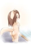  brown_eyes brown_hair dog furry long_hair naked_towel nude ukan_muri 