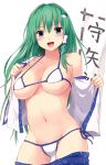 bikini kochiya_sanae swimsuits techi_(techi35499) touhou 