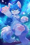 anthro arm_outstretched aurora_(phenomenon) blue_body blue_eyes blue_fur blue_hair canid canine collar cute_fangs fangs fox fur glistening glistening_pawpads hair hair_flip happy hi_res hoshino kemono male mammal mikey_(mikey_fox) one_fang pawpads paws sky smile solo sparkles sparkling_eyes star teeth