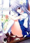  1girl black_bow black_bowtie blue_dress bow bowtie brown_shoes closed_mouth curtains dress eyebrows_hidden_by_hair eyes_visible_through_hair falling_petals flower fumio_(ura_fmo) grisaia_(series) hair_between_eyes hair_flower hair_ornament highres holding holding_flower kazami_kazuki knees_up long_hair looking_at_viewer official_art petals pinafore_dress red_eyes shirt shoes short_sleeves sitting sleeveless sleeveless_dress socks solo thighs very_long_hair watermark white_hair white_shirt white_socks window 