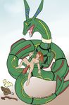  nintendo pokemon rayquaza tagme 