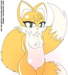  rule_63 sonic_team tagme tails 