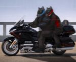 anthro boots canid canine canis clothing duo footwear goldwing_(motorcycle) hi_res highway honda male male/male mammal motorcycle motorcycle_helmet nicolasthewolf riding_motorcycle shoes vehicle wolf
