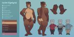  brown_eyes brown_fur brown_hair fur hair jungabeast lucien_eigengrau male mammal model_sheet pubes slightly_chubby solo ursine 