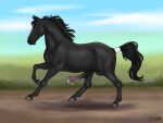 2026 alexvalyutin animal_genitalia animal_penis balls black_body bodily_fluids equid equine equine_genitalia equine_penis erection feral flared_penis genital_fluids genitals hi_res horse male mammal medial_ring outside penis precum priestofjashin solo tail tail_wraps wraps
