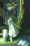 1other absurdres androgynous animal barefoot blue_eyes closed_mouth commentary_request enkidu_(fate) fate/strange_fake fate_(series) floating_hair forest full_body green_hair hand_in_own_hair highres long_hair looking_at_another moss nature other_focus outdoors pants river robe sitonomea smile sunlight tail tail_wagging tree very_long_hair walking white_pants white_robe white_wolf wolf wolf_(fate) 