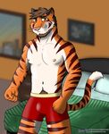  bedroom clothing feline furryanthro furryart mammal tiger underwear 