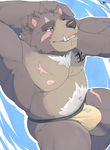  anthro bear bulge clothing grandall_(artist) male mammal muscular open_mouth scar smile solo underwear 