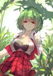  bangs black_bra bra breasts checkered checkered_skirt chiroru_(cheese-roll) cleavage closed_mouth collarbone collared_shirt dappled_sunlight day eyebrows_visible_through_hair green_hair highres kazami_yuuka large_breasts leaf looking_at_viewer md5_mismatch open_clothes open_shirt outdoors red_eyes red_skirt shirt skirt sunlight touhou unbuttoned unbuttoned_shirt underwear vest white_shirt 