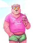  anthro bear belly big_belly clothed clothing dessert dramamine eyewear food ice_cream male mammal overweight smile solo standing sunglasses 