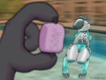 2026 ambiguous_gender animate_inanimate animated anthro bell bell_collar blinking bovid caprine claws collar curious depth_of_field digital_media_(artwork) goat handle_bar handles_on_hips holding_object hooves horn inflatable living_inflatable male mammal null null_bulge pool_toy poolside pseudokym reimy_(pseudokym) soap soap_bar solo swimming_pool translucent translucent_body transparent_belly water_wiggler