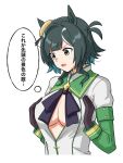  1girl animal_ears birthday black_gloves breasts cleavage commentary_request cosplay dao_ne-ii39ra42k-3-7 gloves green_eyes green_hair happy_birthday highres horse_ears horse_girl juliet_sleeves kiseki_(umamusume) long_sleeves looking_down open_mouth puffy_sleeves short_hair silence_suzuka_(innocent_silence)_(umamusume) silence_suzuka_(umamusume) silence_suzuka_(umamusume)_(cosplay) solo speech_bubble umamusume white_background 