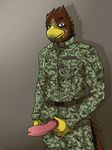  anthro ariff_razalin avian beak camo erection grin kionewinterhowl knot male masturbation penis presenting red_tail_hawk smile standing 