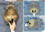  ambiguous_gender animated bedding blanket cat clapping comic disembodied_hand feline feral flipnote_studio fur grey_fur human keke lying mammal on_back overweight paws spots spotted_fur squint striped_fur stripes toony whiskers 