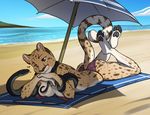  4_toes anthro beach bikini breasts brown_eyes clothing duo feline female feral grey_nose inktiger mammal reptile sand scalie seaside sky snake swimsuit toes water 