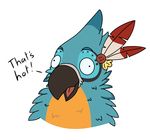  beak birb botw burd derpy feathers fluffy humor joke kass male meme nintendo reaction_image silly snootbooper the_legend_of_zelda video_games 