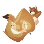  2017 anthro areola big_breasts black_nose breasts brown_hair canine coyote eyewear female glasses hair hi_res hindpaw mammal marblesoda nipples nude pawpads paws pussy short_hair simple_background smile solo white_background 