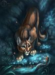  2017 ambiguous_gender cougar detailed_background duo feline feral fish flashw fur mammal marine night paws standing tan_fur water 