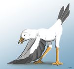  2016 ambiguous_gender avian beak bent_over bird digital_media_(artwork) feathered_wings feathers feral gradient_background green_eyes hi_res open_mouth seagull side_view simple_background solo tail_feathers tuke white_feathers winged_arms wings 