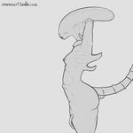  alien alien_(franchise) breasts eyeless female grey_background humanoid simple_background solo tagme wide_hips xenomorph ximema 