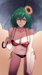  bare_arms bare_shoulders bikini black_umbrella breasts bright_pupils brown_background cleavage commentary_request cowboy_shot flower foreshortening green_hair hair_between_eyes hair_flower hair_ornament hand_on_own_thigh highres holding holding_umbrella kazami_yuuka large_breasts leaning_forward legs_apart lips looking_at_viewer navel plaid plaid_bikini red-d red_bikini red_eyes red_lips red_ribbon ribbon shadow short_hair side-tie_bikini simple_background solo stomach sunflower sunflower_hair_ornament swimsuit thighs touhou tsurime umbrella 