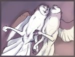  2015 after_sex ambiguous_gender animal_genitalia avian beak bird border cloaca cloaca_juice digital_media_(artwork) duo eyes_closed feathered_wings feathers feral lying multicolored_feathers on_back owl presenting presenting_cloaca romantic_couple spread_legs spreading tail_feathers tuke winged_arms wings 