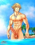  1boy abs beach blue_eyes erection kingdom_hearts male_focus muscle nude outdoors penis phausto smile solo sora teeth water 