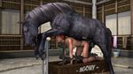  arena debra equine extremexworld female fight horse mammal 