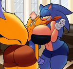  big_breasts big_butt breasts butt canine denizen1414 dreamcastzx1 female fox hedgehog huge_breasts huge_butt mammal pussy small_breasts sonic_(series) sonic_the_hedgehog thick_thighs tight_outfit 