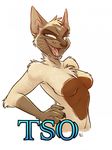  breasts cat con_badge convention_badge domestic feline female mammal nicnak044 sassy siamese tso 