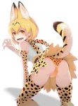  40hara all_fours angry animal_ear_fluff animal_ears ass bare_shoulders blonde_hair bow breasts claw_pose elbow_gloves extra_ears eyebrows_visible_through_hair fangs fingernails from_behind gloves kemono_friends looking_at_viewer looking_back medium_breasts open_mouth panties pet_play print_gloves print_legwear print_panties ribbon-trimmed_skirt ribbon_trim serval_(kemono_friends) serval_ears serval_print serval_tail sharp_fingernails shirt short_hair simple_background skirt sleeveless solo tail tail_raised underwear white_background 