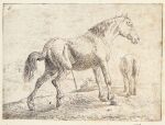 absurd_res ancient_art bodily_fluids building butt clothing detailed_background equid equine feral feral_focus feral_peeing fur genital_fluids grass group hat headgear headwear hi_res hooves horse human jan_van_aken male male_peeing mammal outside peeing peeing_on_ground peeing_outside plant realistic realistic_feral side_view sitting solo_focus standing tail tree trio urine urine_on_ground urine_stream