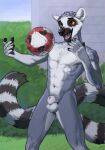 2026 abs absurd_res animal_genitalia anthro ball balls black_nose claws detailed_background fluffy_balls fur genitals grass grey_body grey_fur grey_hair hair happy hi_res lemur long_tail male mammal markings multicolored_tail navel nude orange_eyes plant primate pubes ring-tailed_lemur ring_(marking) ringed_tail sheath short_hair slim smile soccer_ball spiritinchoco strepsirrhine striped_markings striped_tail stripes tail tail_markings teeth tongue