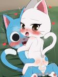 0227 3:4 absurd_res anthro anthro_on_anthro anthro_penetrated anthro_penetrating anthro_penetrating_anthro anus balls blue_body blush butt charle_(fairy_tail) domestic_cat duo eyelashes fairy_tail felid feline felis female female_penetrated from_front_position genitals happy_(fairy_tail) hi_res looking_back male male/female male_penetrating mammal mastery_position penetration penile penile_penetration penis pupils sex smile tail vaginal vaginal_penetration vulva whiskers white_body