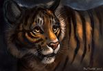  2017 amber_eyes black_lips feline feral flashw fur mammal open_mouth orange_fur pink_nose solo standing striped_fur stripes teeth tiger tongue whiskers 