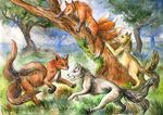  canine feral forest fox fuzzymaro group mammal playing traditional_media_(artwork) tree watercolor_(artwork) 