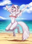  4_toes 5_fingers anthro barefoot bikini blue_nose canine chest_tuft clothing day detailed_background digitigrade eyelashes female fur grey_fur imanika mammal midriff navel open_mouth outside purple_eyes sand sky smile solo swimsuit toes tongue tuft water wide_hips wolf 