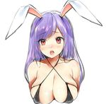  animal_ears bad_id bad_twitter_id bangs banned_artist bare_shoulders bikini_top black_bikini_top blush breasts bunny_ears cleavage collarbone commentary_request covered_nipples criss-cross_halter eyebrows_visible_through_hair halterneck highres large_breasts long_hair nose_blush purple_hair raised_eyebrows red_eyes reisen_udongein_inaba shiny shiny_skin simple_background sketch skindentation solo swept_bangs touhou tsukiriran white_background 