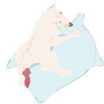 animal_genitalia anonymous_artist anus bull_terrier canid canine canine_genitalia canis domestic_dog dry_humping feral genitals grinding hi_res hunting_dog imminent_sex male mammal masturbation penis pillow pillow_humping rear_view rushed_work solo tagme terrier