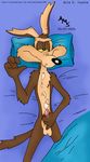  looney_tunes tagme wile_e_coyote 