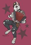  2016 accordion bandage belt blue_eyes bull_terrier canine chewycuticle clothed clothing dog fishnet_shirt fur hat mammal musical_instrument pants pogo red_background simple_background solo torn_clothing torn_pants white_fur 
