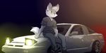  2017 anthro backsash black_nose canine car clothed clothing digital_media_(artwork) dog fur hair looking_at_viewer male mammal outside simple_background sitting smile solo vehicle white_fur wolf 