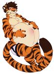  anthro belly big_belly brown_hair clothed clothing feline fur hair hand_on_stomach kaydex long_tail male male_pregnancy mammal navel orange_fur outie_navel pregnant shorts simple_background stripes the-narutoshi tiger topless white_background white_fur 