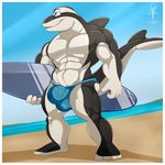  2017 aaron_(artist) abs anthro balls beach biceps big_balls big_muscles blue_eyes border bulge cetacean clothed clothing dolphin hi_res kai_wheatley male mammal marine muscular pecs pepsi_(fa) sea seaside sky solo speedo standing stripper surfboard surfer swimsuit water white_border 