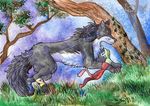  black_fur canine feral forest fur fuzzymaro grass mammal running traditional_media_(artwork) tree watercolor_(artwork) wolf 