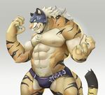  2017 abs biceps big_muscles clothed clothing digital_media_(artwork) feline kemono male mammal mask misterbunny56 muscular muscular_male nipples tiger topless underwear 