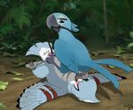  2017 animal_genitalia avian bdsm beak bird blue_feathers blue_macaw bondage bound claws cloaca cloacal_penetration cum detailed_background digital_media_(artwork) dildo duo eyes_closed feathered_wings feathers female feral feral_on_feral forced hi_res jewel_(rio) jungle macaw male male/female masturbation mcfan nude outside parrot penetration rio sex_toy signature spread_legs spread_wings spreader_bar spreading tree vibrator wings 