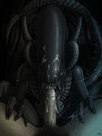  alien alien_(franchise) ambiguous_gender cum erection fellatio human human_on_humanoid humanoid interspecies male mammal netherwulf not_furry oral penis sex xenomorph 