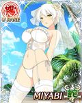  1girl breasts large_breasts miyabi_(senran_kagura) senran_kagura solo tagme 